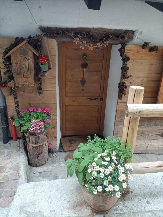 Maison Du Mont Aosta Exterior foto
